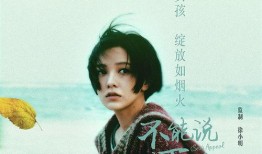 不能说的夏天 在线观看,探寻不能说的夏天在线观看之旅